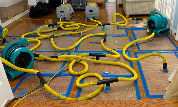 Professional Basement Flood Cleanup technician working in Yancey, TX